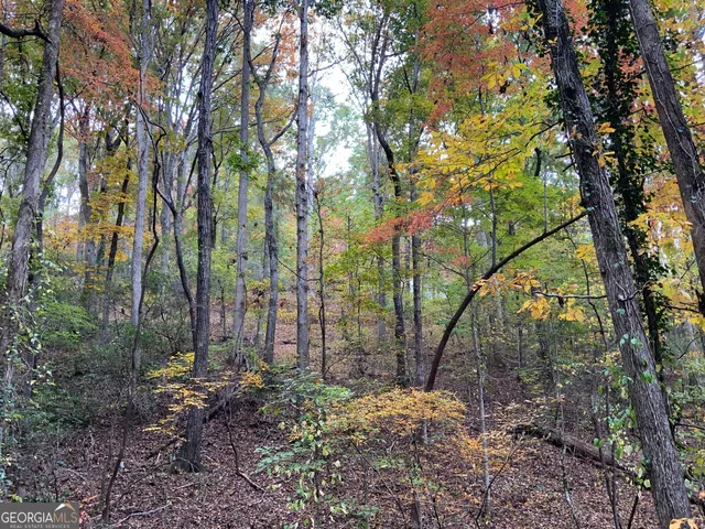 $45,000 | 224 Magnolia Drive, Sautee Nacoochee, GA 30571