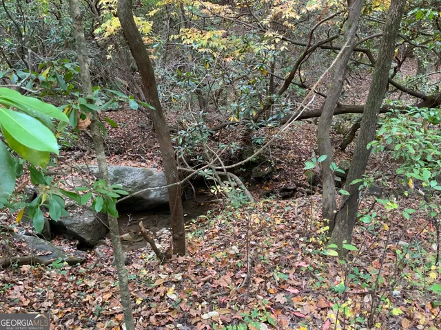 $45,000 | 224 Magnolia Drive, Sautee Nacoochee, GA 30571