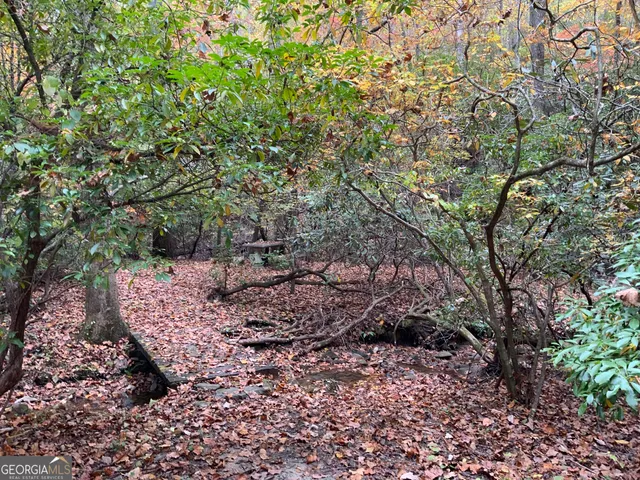 $45,000 | 224 Magnolia Drive, Sautee Nacoochee, GA 30571