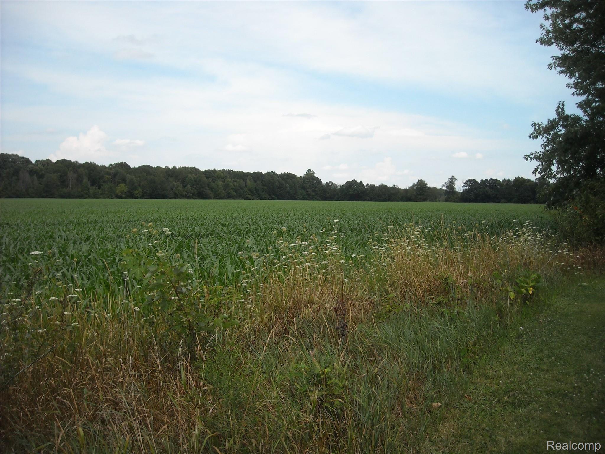 5123 East Mt Morris Road Mount Morris, MI 48458 - Photo 15 of 15 Back Yard overlooking beautiful country side View 2