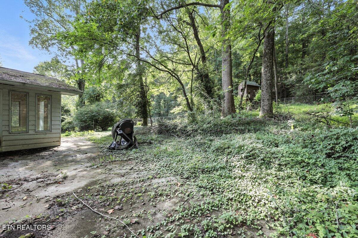 308 Irwin Drive Powell, TN 37849 - Photo 33 of 38 038_IMG_0677