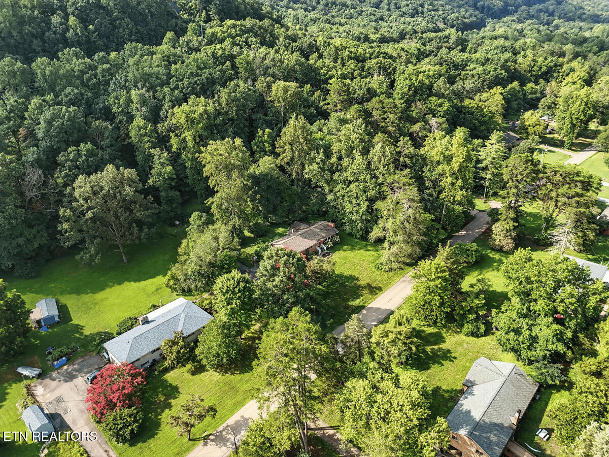 308 Irwin Drive Powell, TN 37849 - Photo 35 of 38 010_DJI_20250801095114_0610_D_image_edit