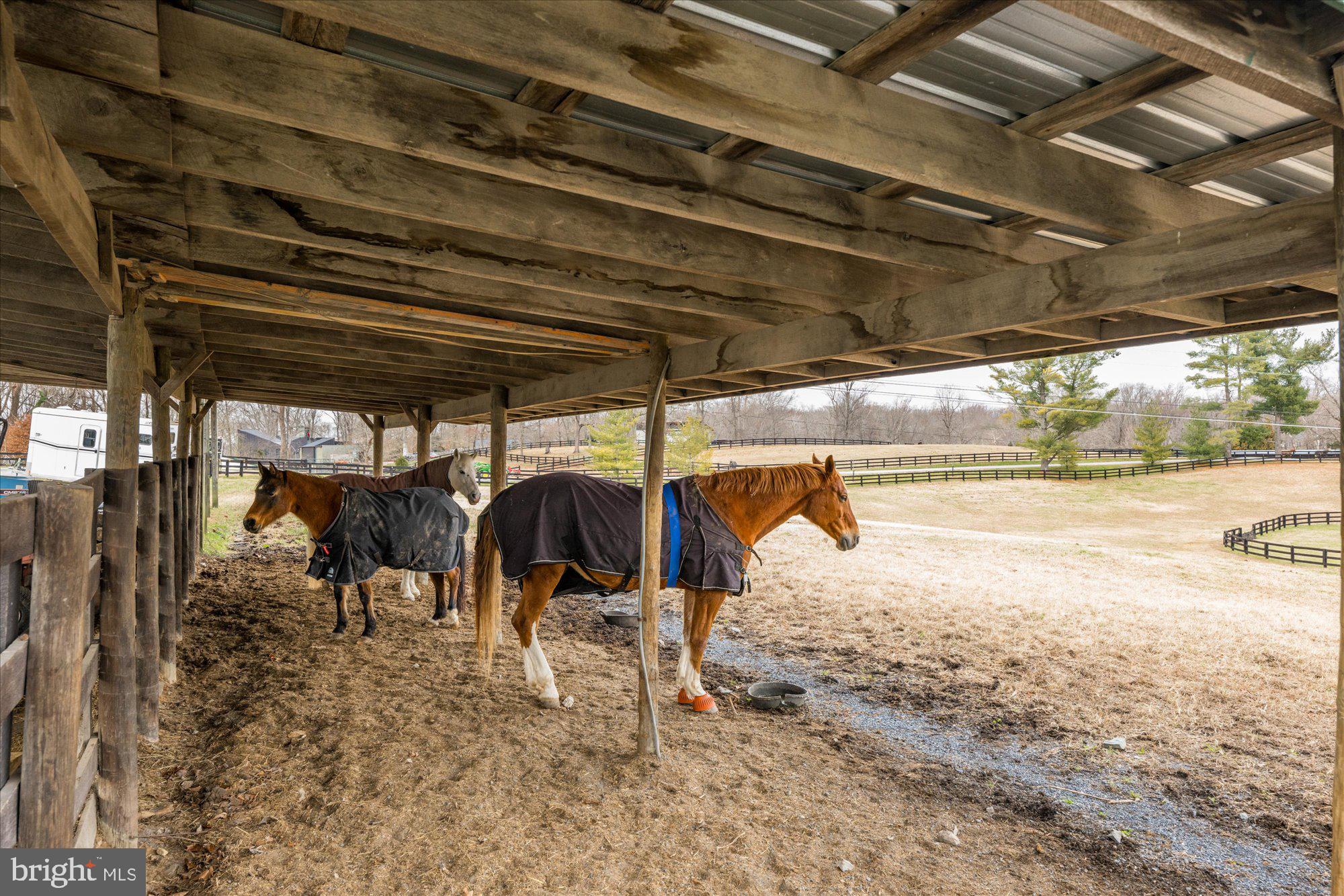 11512 Morning Ride Drive Potomac, MD 20854 - Photo 3 of 47