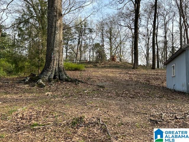 6049 Old Huntsville Road McCalla, AL 35111 - Photo 34 of 40