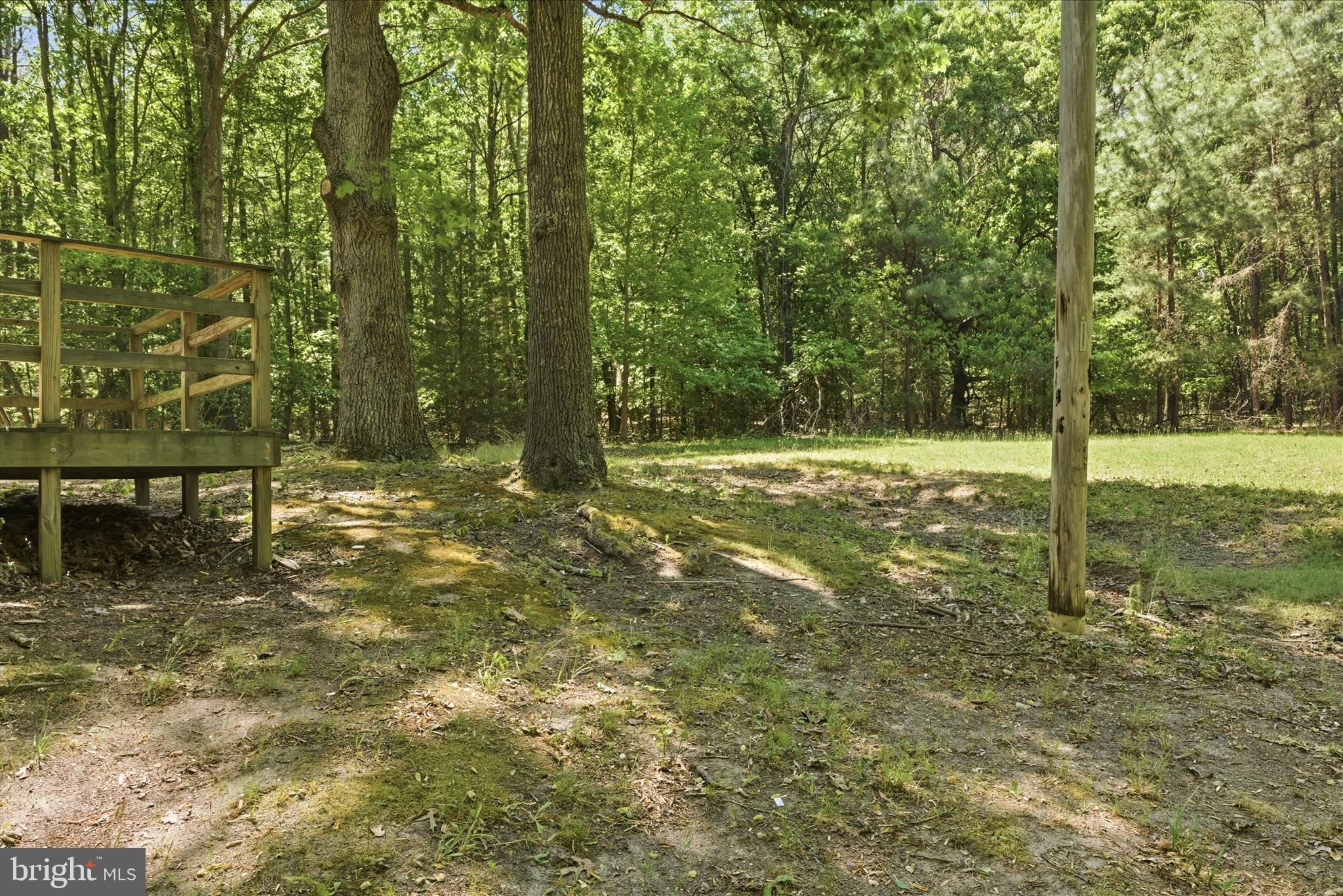 6815 Marshall Road St. Leonard, MD 20685 - Photo 31 of 43 a view of a yard with a tree