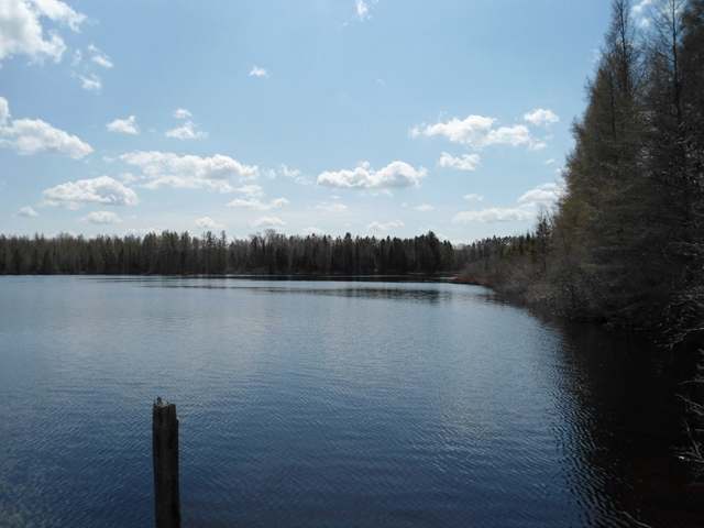 5055 Maple Ridge Lane Manitowish Waters, WI 54545 - Photo 11 of 20 Gallery Image 11