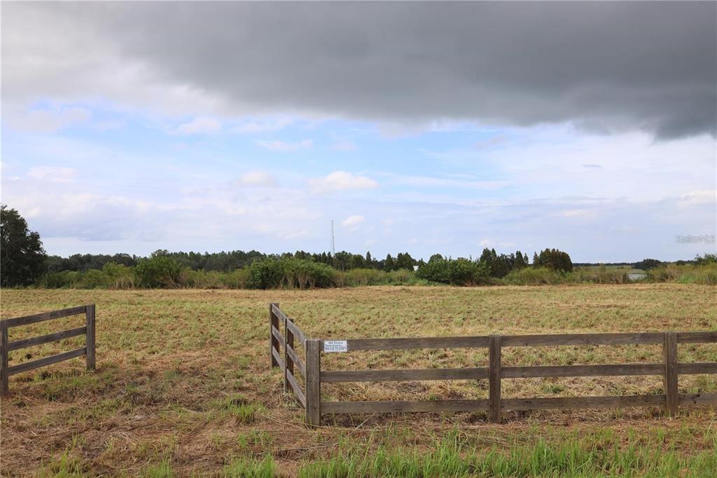 1700 Old Brewster Road Fort Meade, FL 33841 - Photo 1 of 1