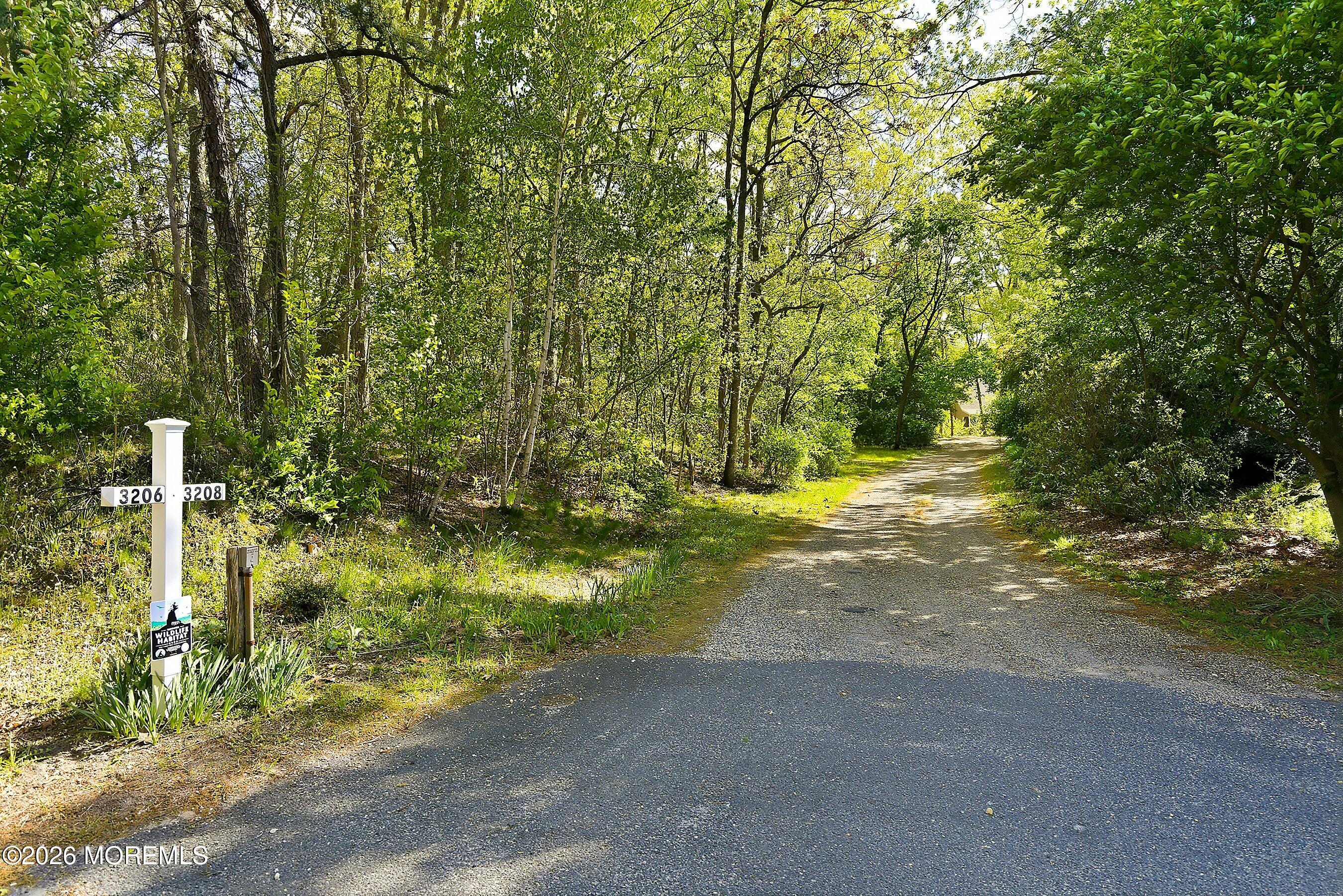 3206 Ridgewood Road Allenwood, NJ 08720 - Photo 3 of 33 02-Driveway 1