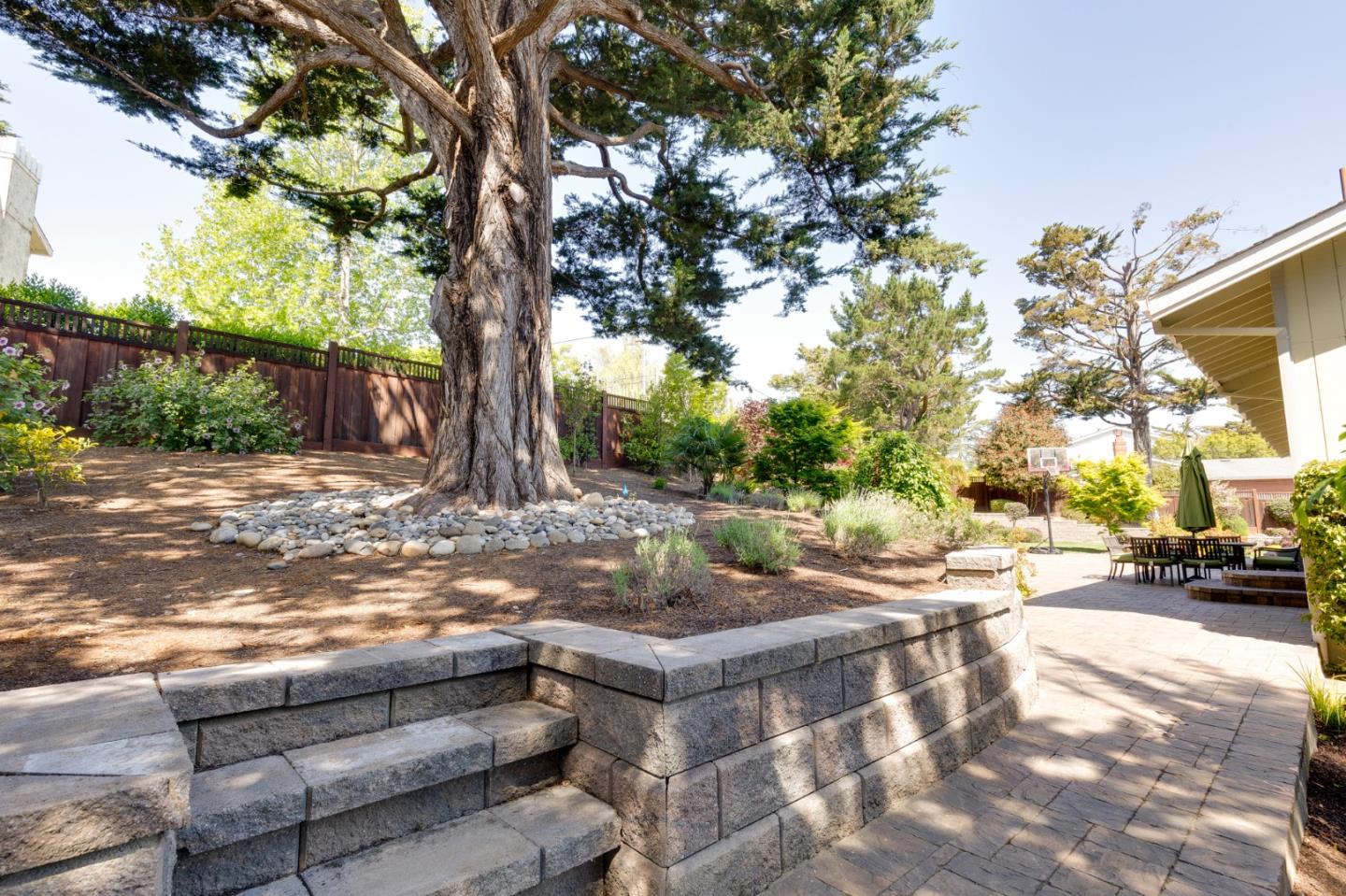 36 Tobin Clark Drive Hillsborough, CA 94010 - Photo 47 of 50 a view of a yard with cars