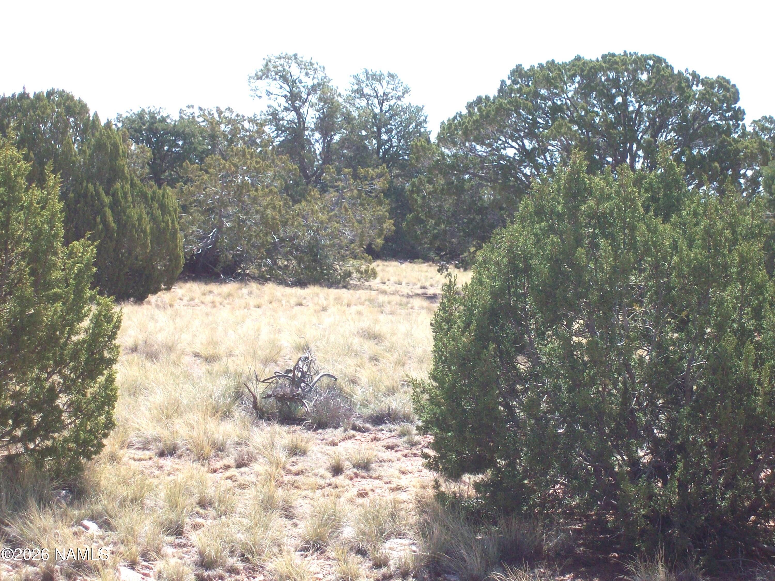 1650 South Kaibab Road Williams, AZ 86046 - Photo 11 of 12 100_0405