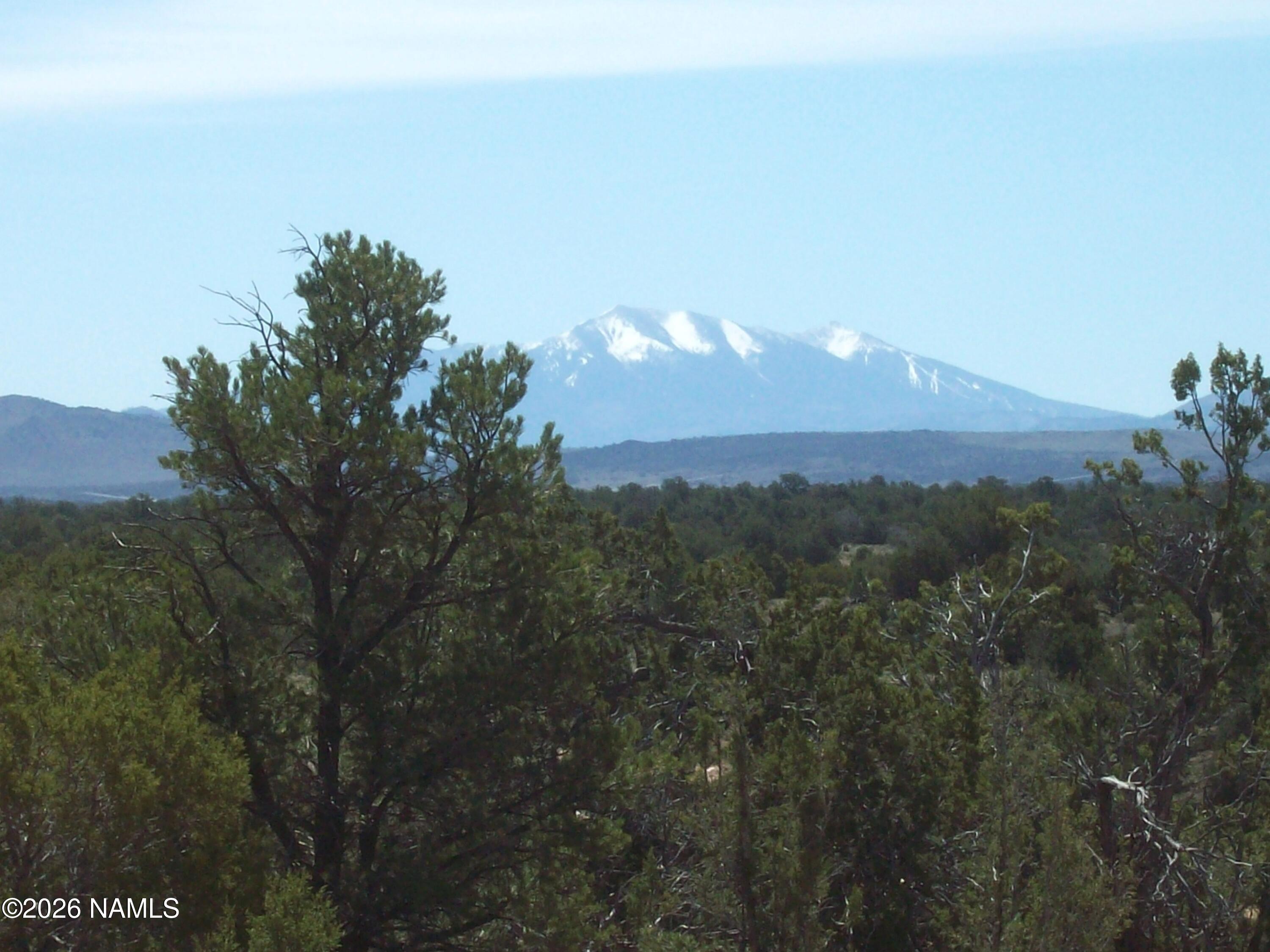 1650 South Kaibab Road Williams, AZ 86046 - Photo 3 of 12 100_0399