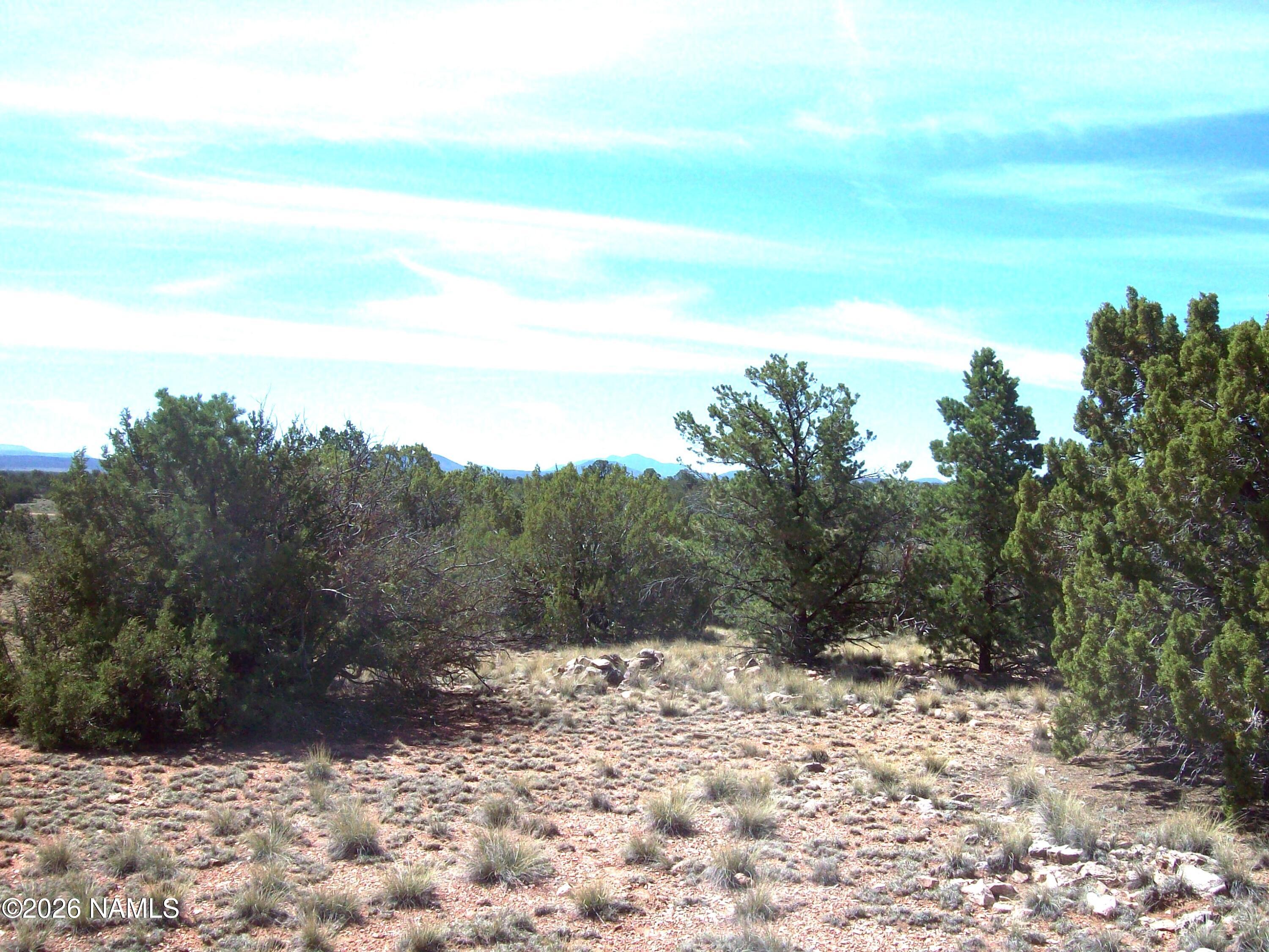 1650 South Kaibab Road Williams, AZ 86046 - Photo 4 of 12 100_0393