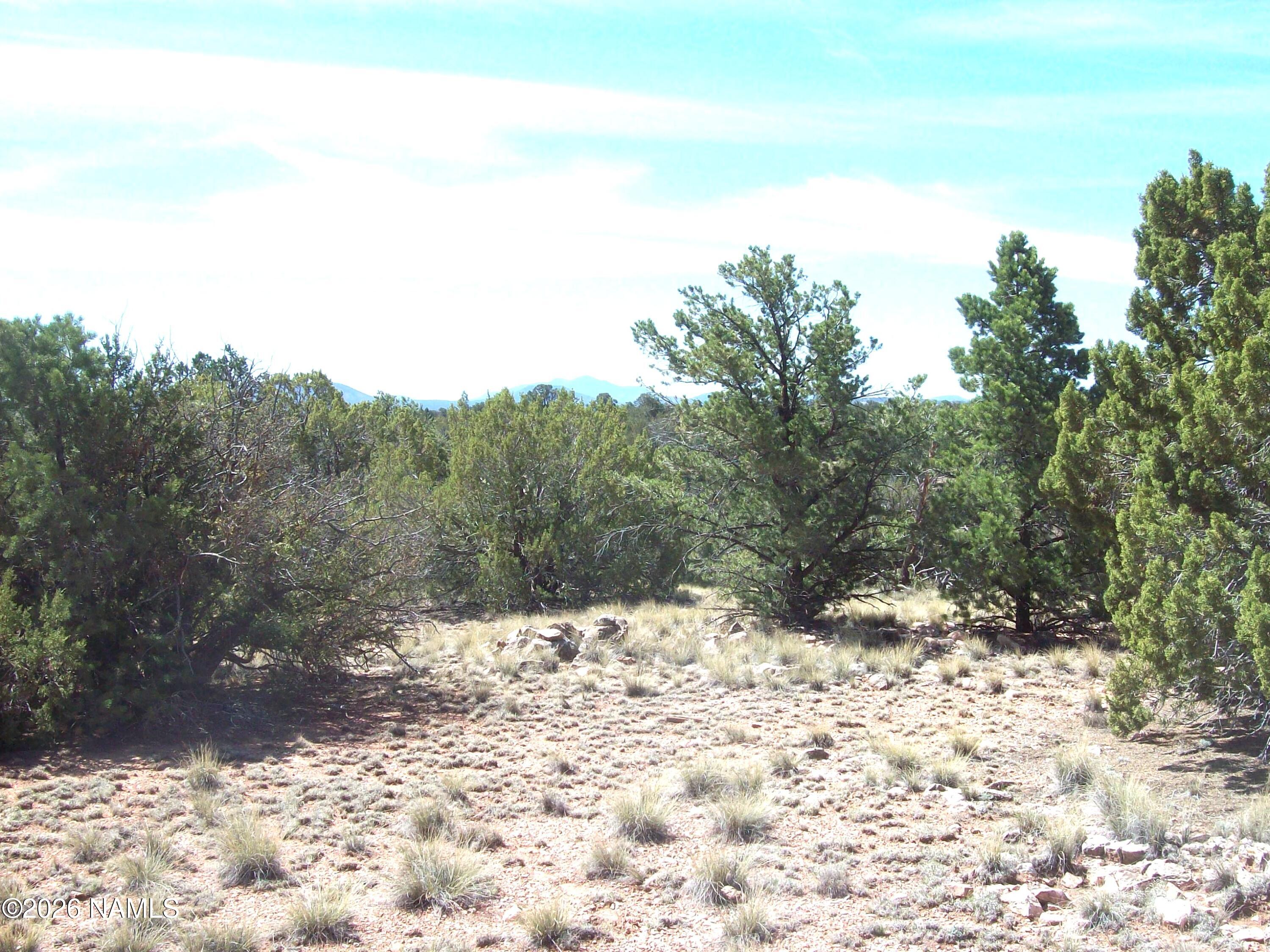 1650 South Kaibab Road Williams, AZ 86046 - Photo 5 of 12 100_0394