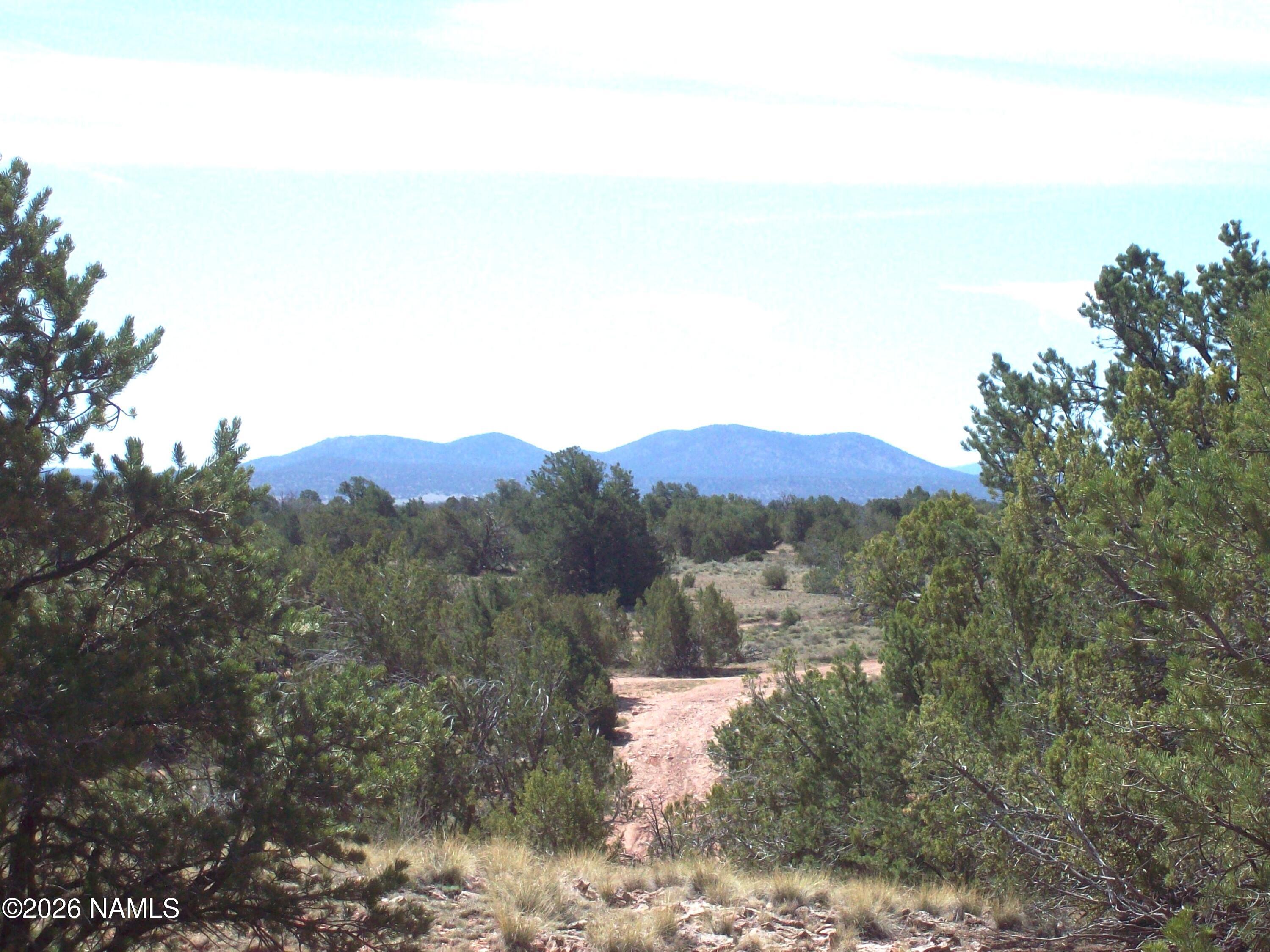 1650 South Kaibab Road Williams, AZ 86046 - Photo 7 of 12 100_0397