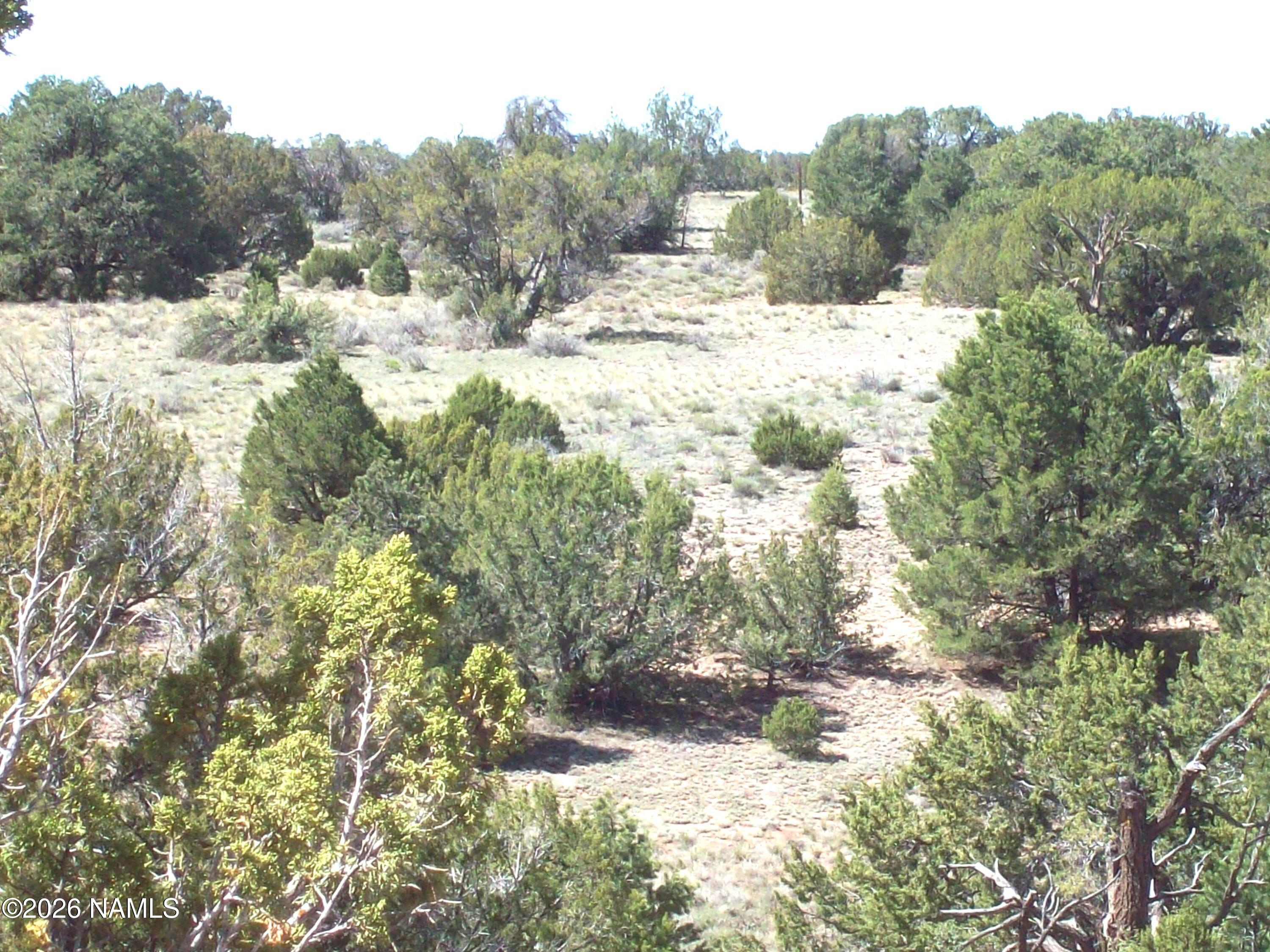 1650 South Kaibab Road Williams, AZ 86046 - Photo 8 of 12 100_0402