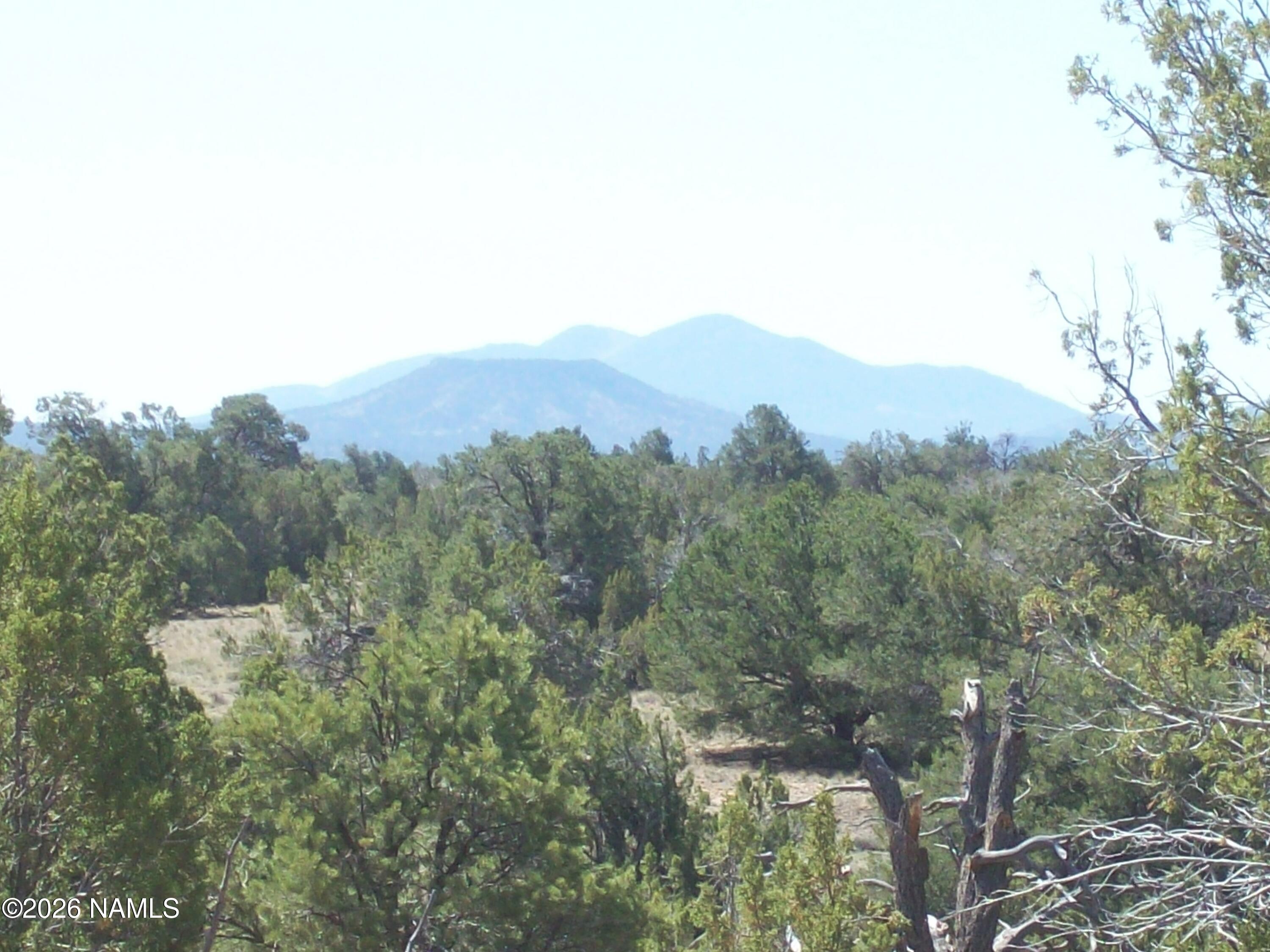 1650 South Kaibab Road Williams, AZ 86046 - Photo 10 of 12 100_0404