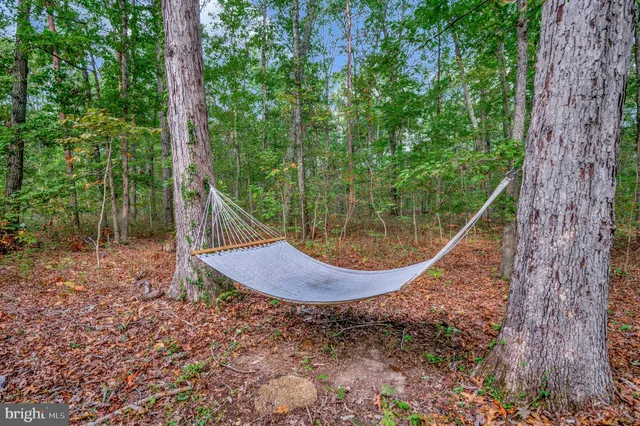 $574,900 | 16180 Mountain Track Road, Orange, VA 22960