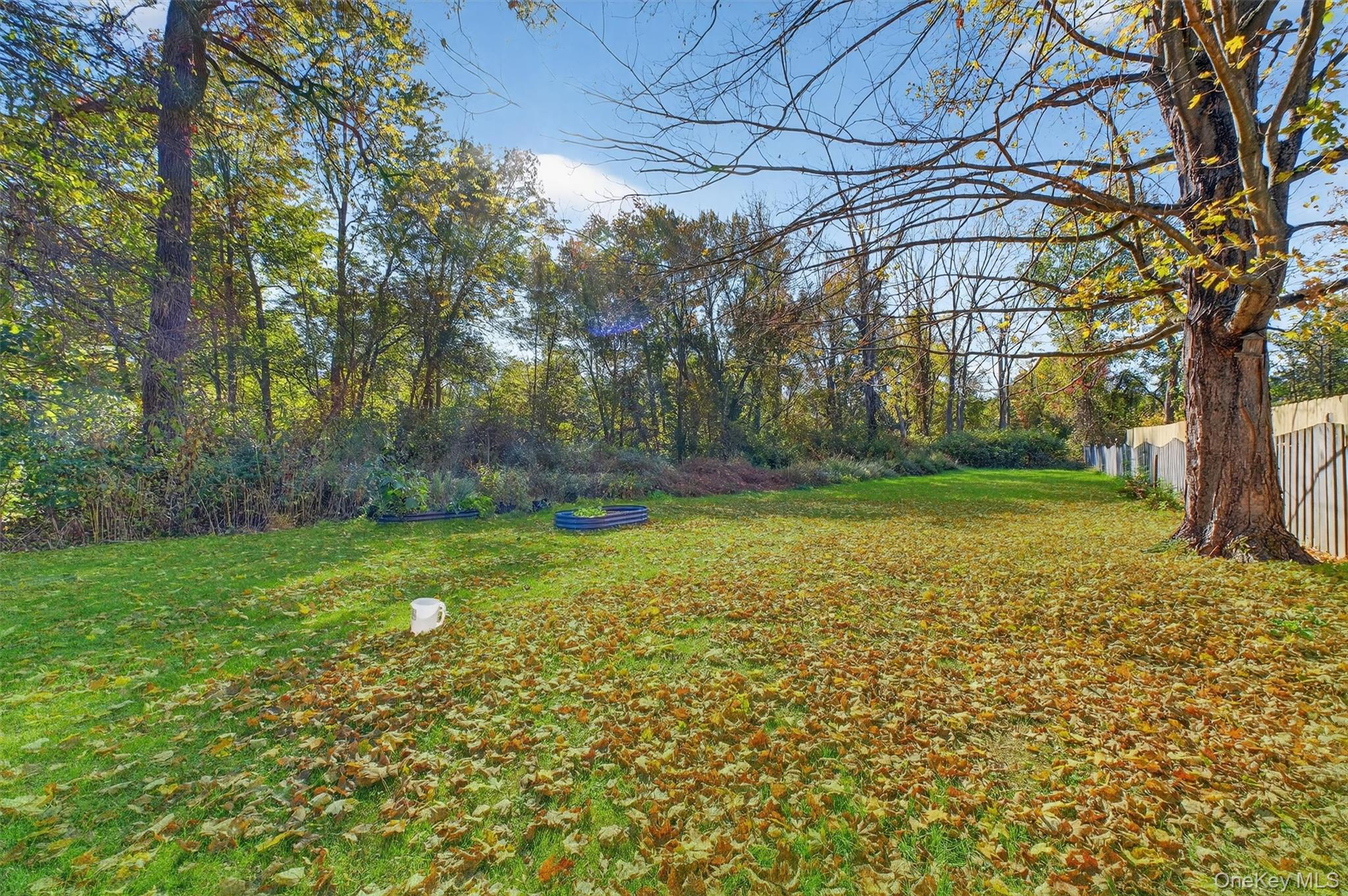 17 Fishkill Hook Road Hopewell Junction, NY 12533 - Photo 23 of 29 a backyard of a house with lots of green space