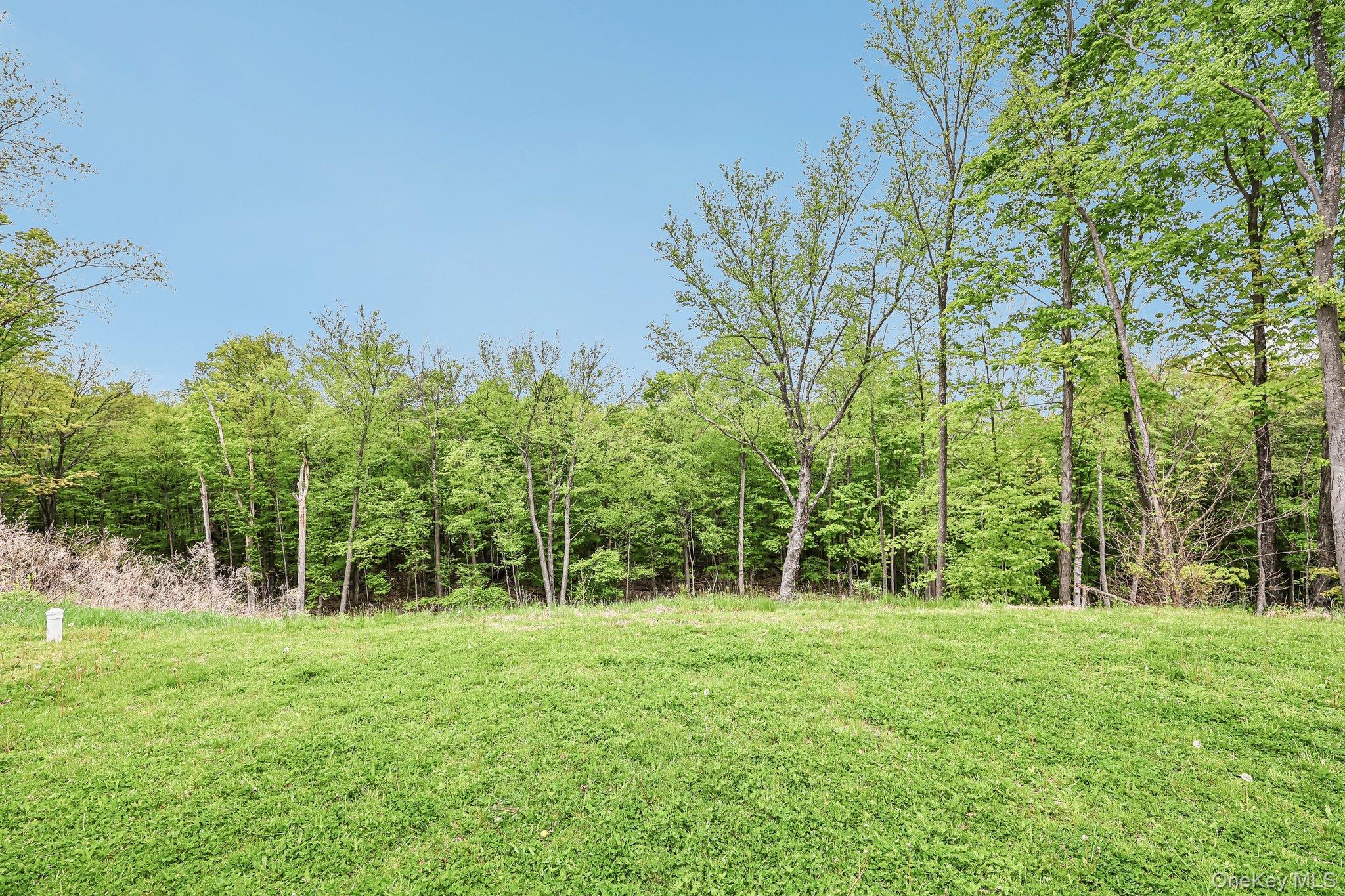 217 Schoolhouse Road Middletown, NY 10940 - Photo 38 of 45