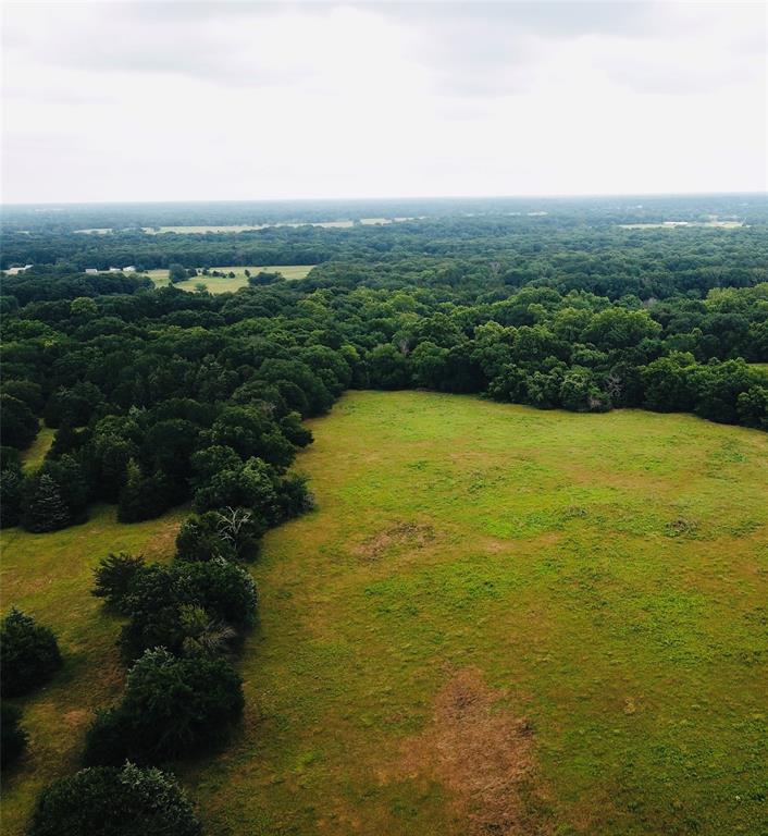 0 C R 1115 Bonham, TX 75418 - Photo 11 of 13
