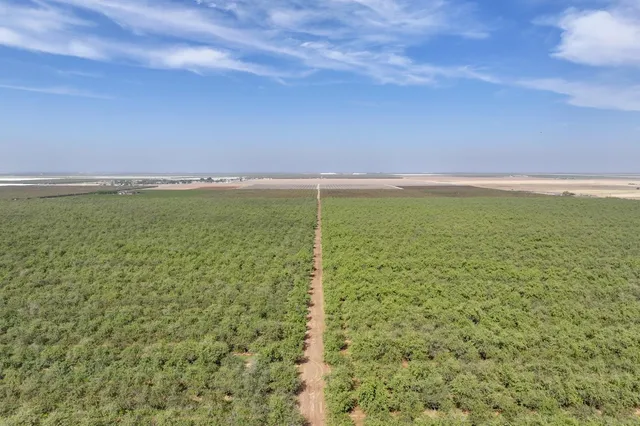 a view of a field with an ocean