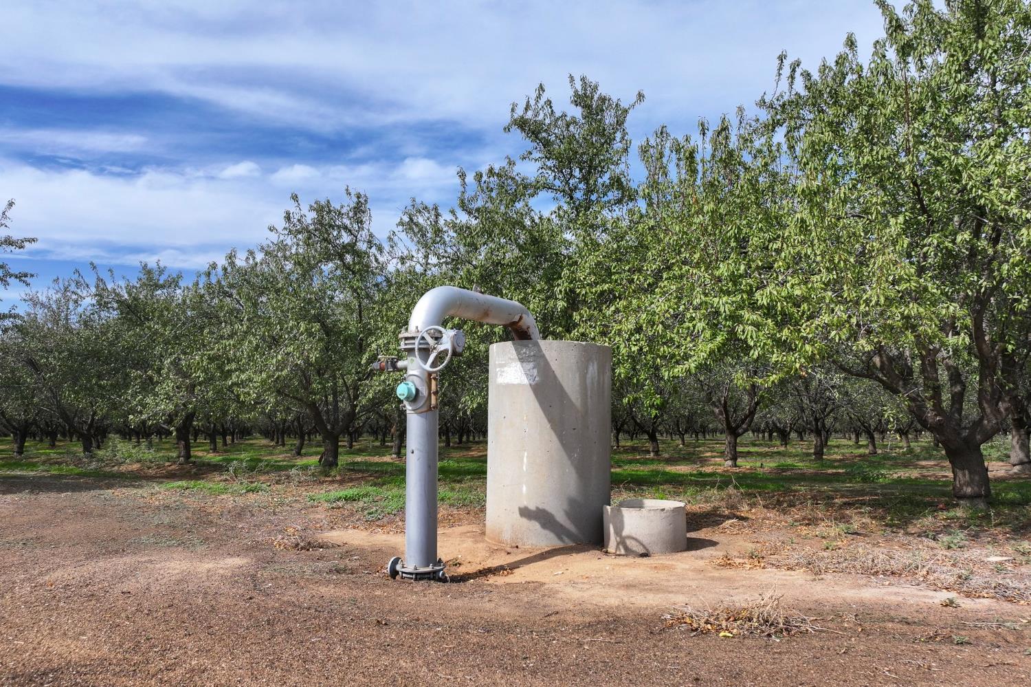 0 Kyte Road Delano, CA 93215 - Photo 6 of 9