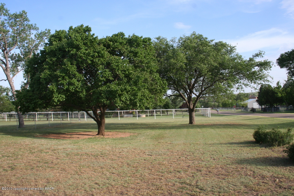 207 Geronimo Road Amarillo, TX 79108 - Photo 3 of 14 Wonderful trees