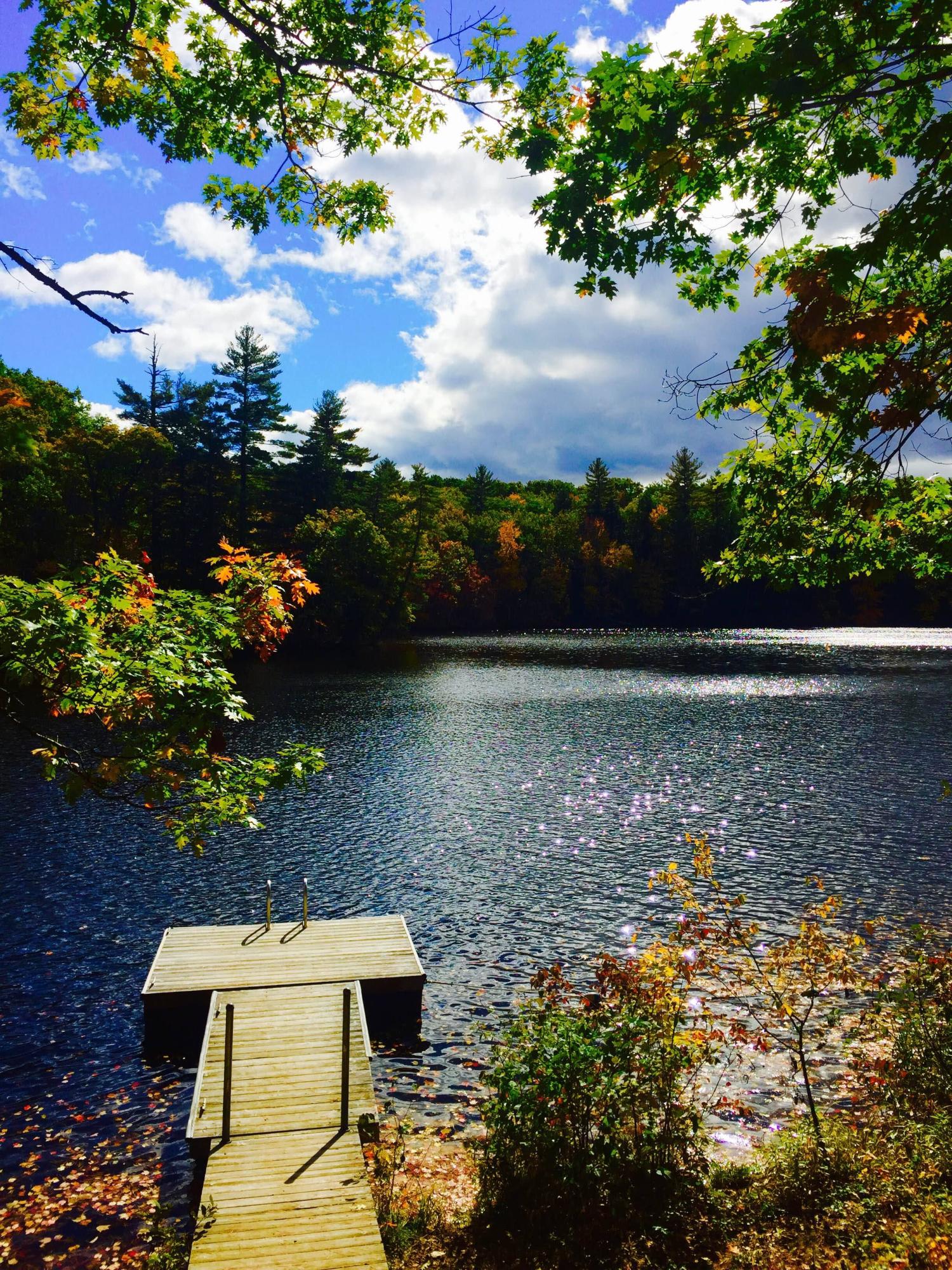 78 Old Falls Pond Road Alfred, ME 04002 - Photo 2 of 34 Dock