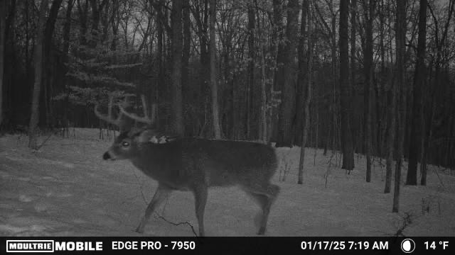 0 Stephen Young Road Camden, OH 45311 - Photo 48 of 57