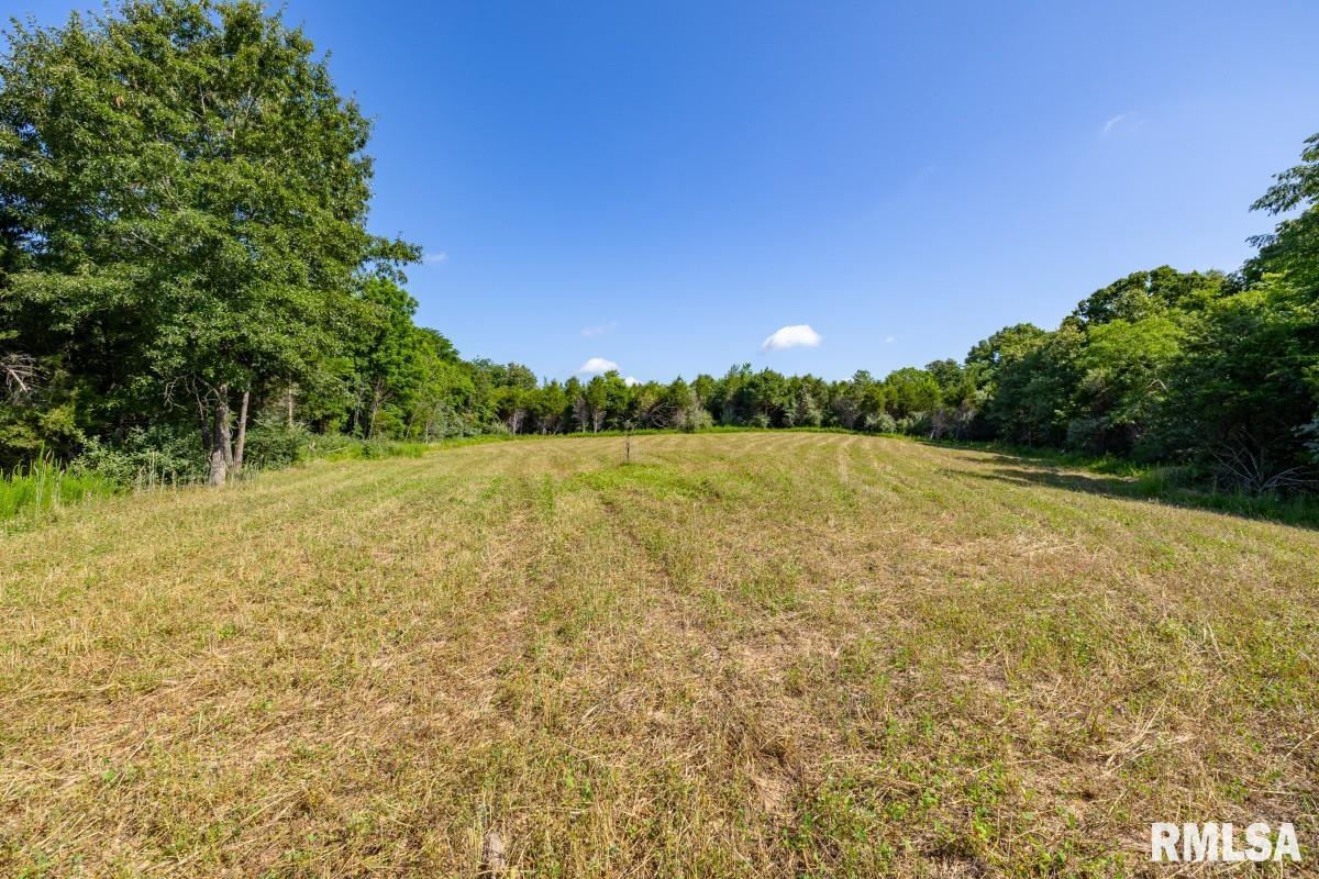 0 Tom Dick Hill Road Stonefort, IL 62987 - Photo 40 of 62