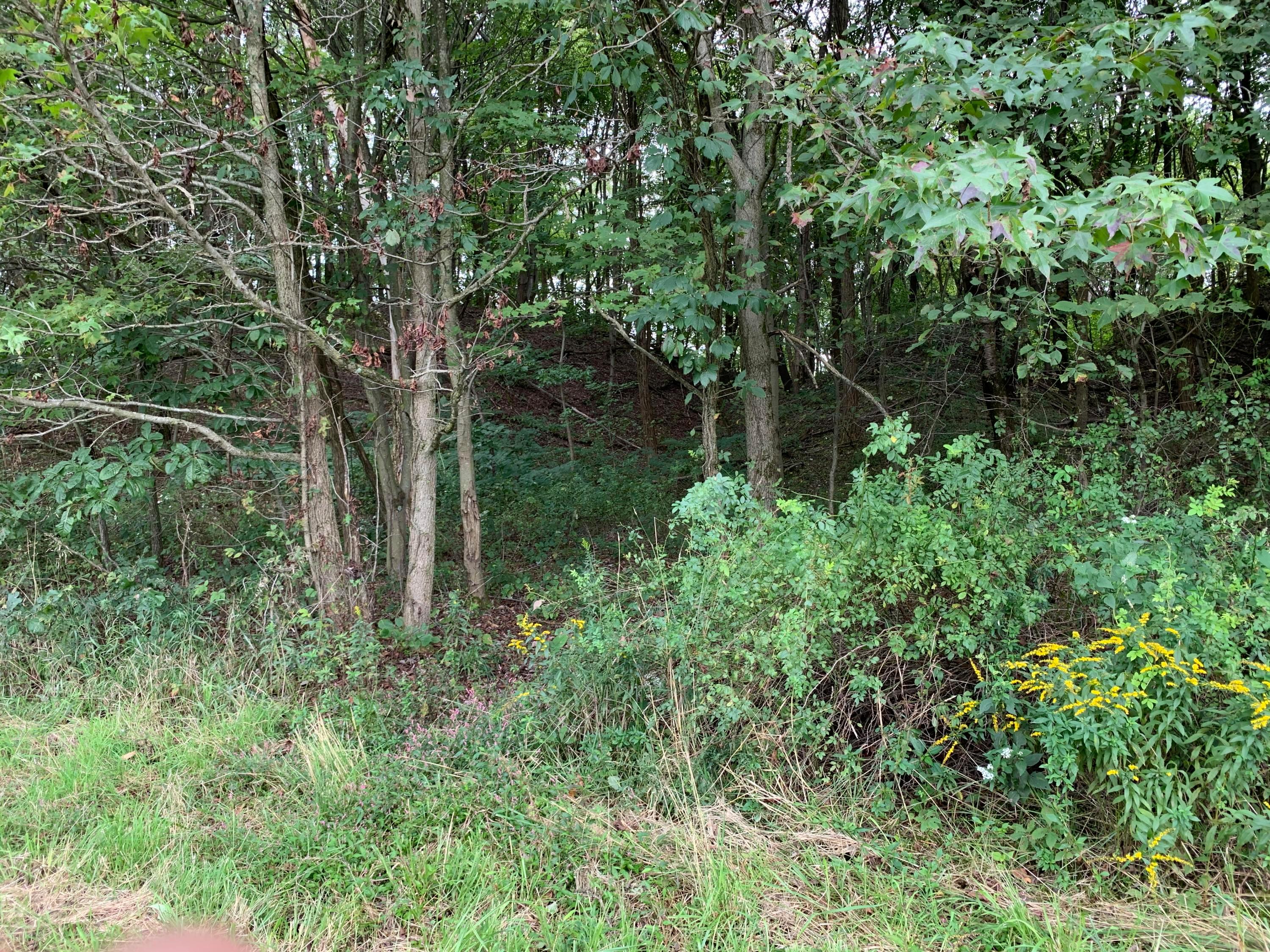 0 Cherry Run Road Northwest Strasburg, OH 44680 - Photo 14 of 35 20200916_193923869_iOS