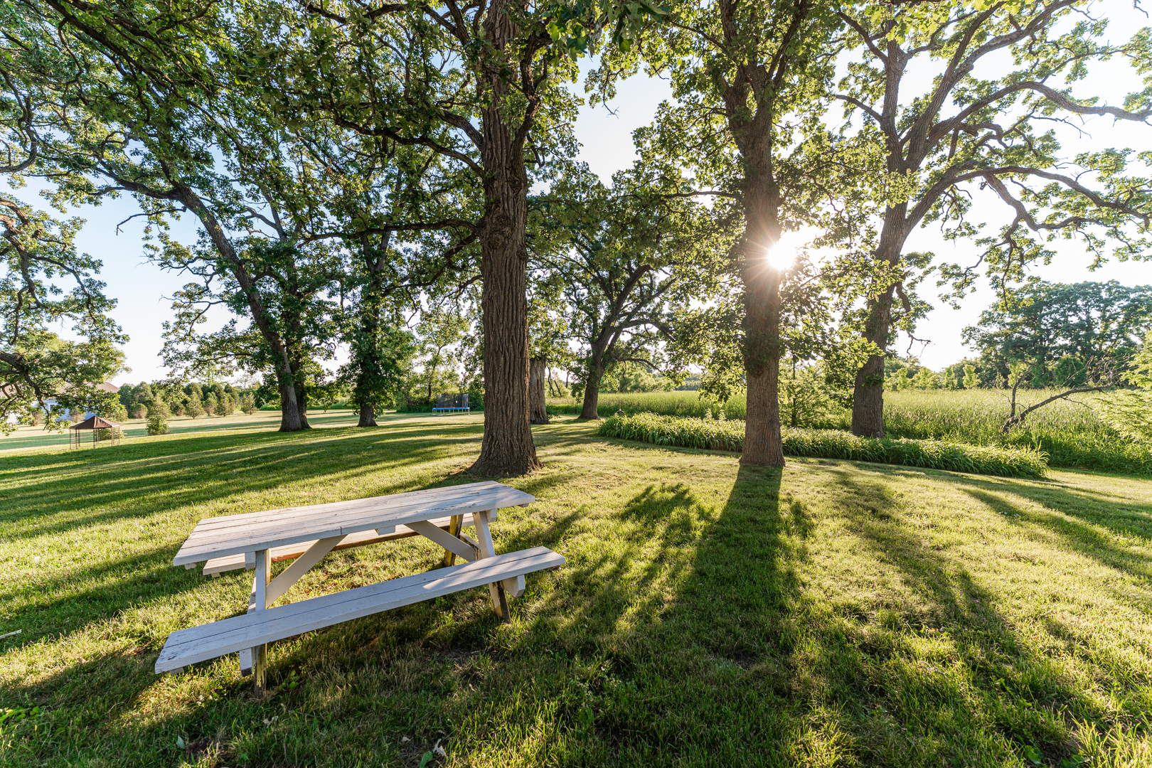 18715 West Edwards Road Antioch, IL 60002 - Photo 28 of 66 a view of a yard with a tree