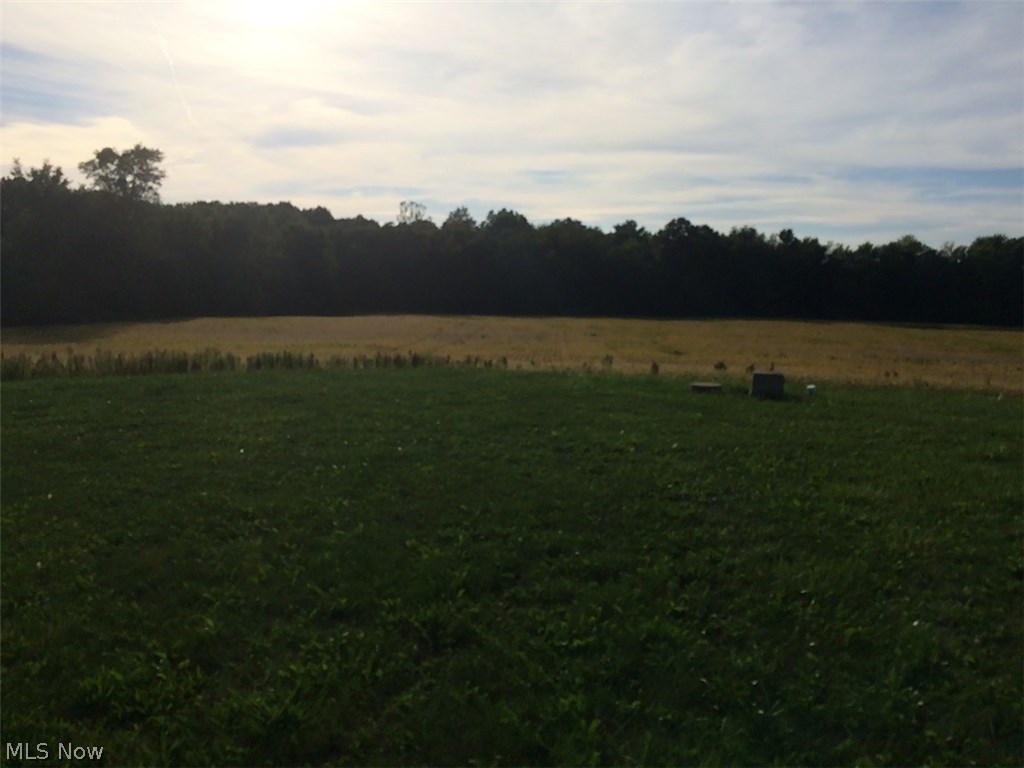 13074 Congress Road West Salem, OH 44287 - Photo 11 of 11