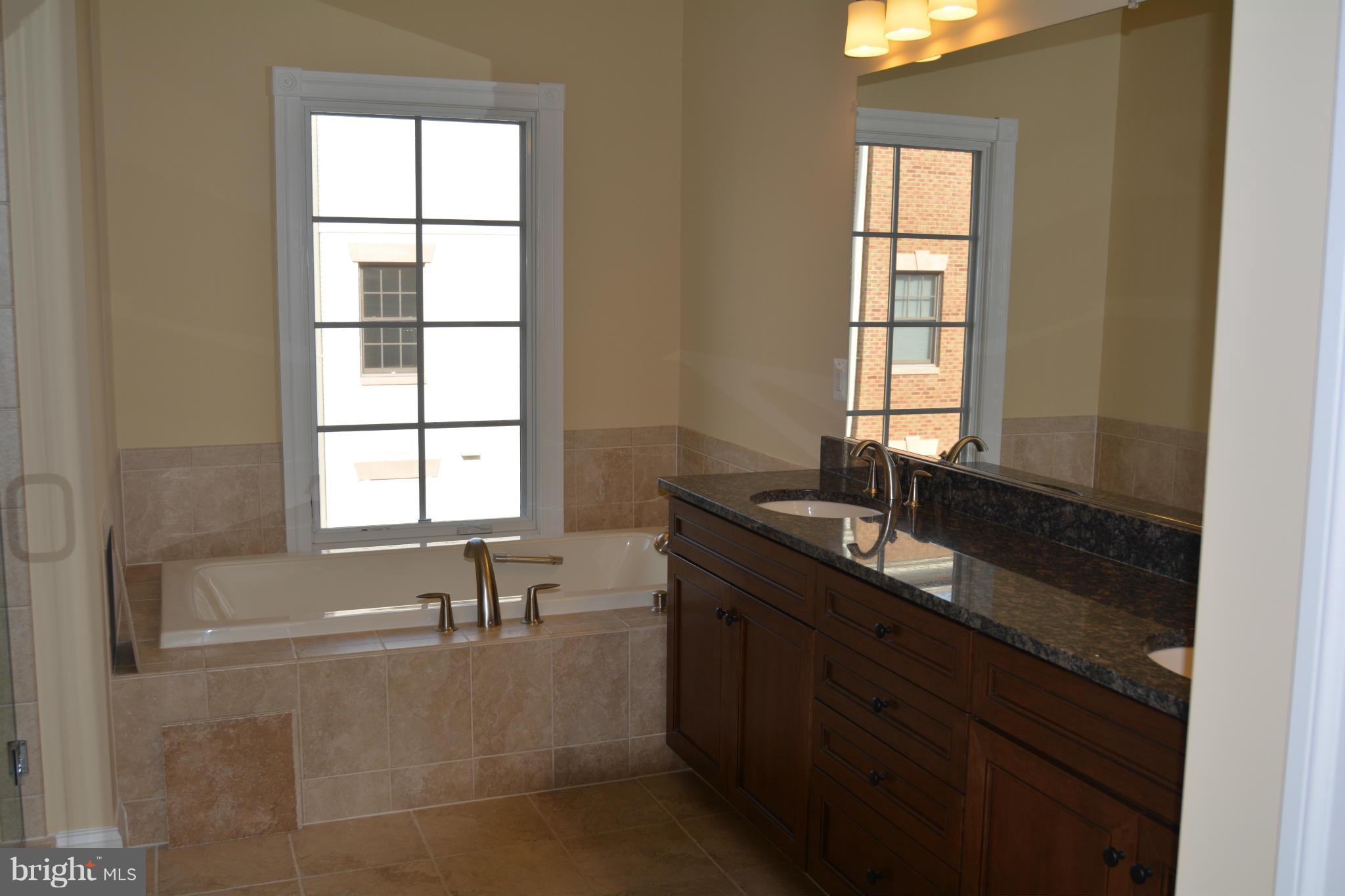 1411 Ridgeview Way Washington, DC 20007 - Photo 11 of 15 a bathroom with a granite countertop sink a mirror and a bathtub