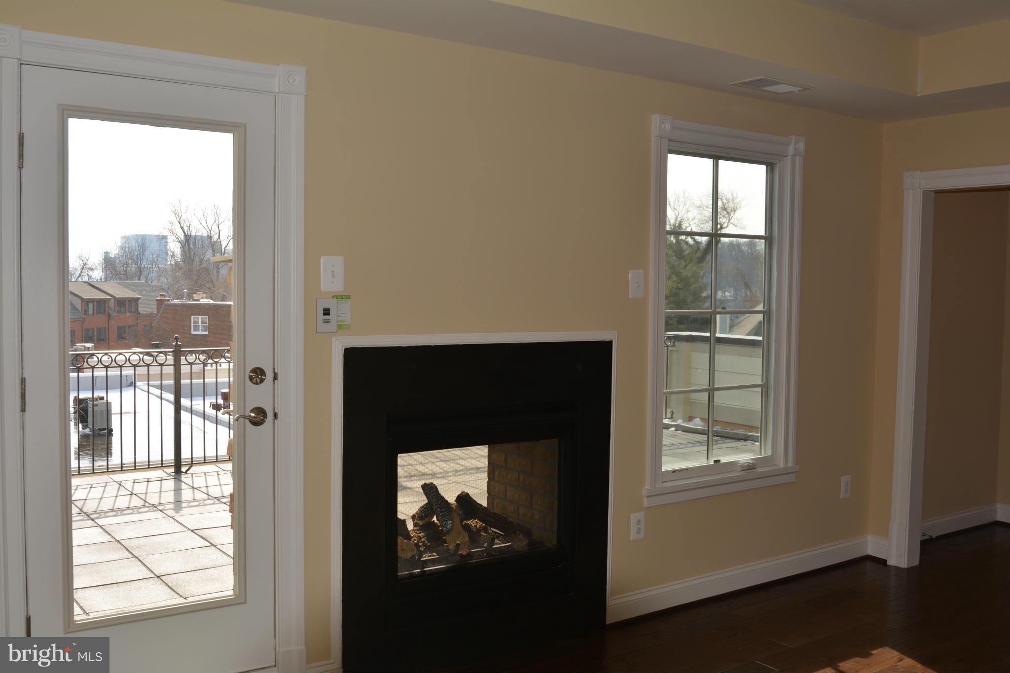1411 Ridgeview Way Washington, DC 20007 - Photo 12 of 15 a living room with a fireplace and a window