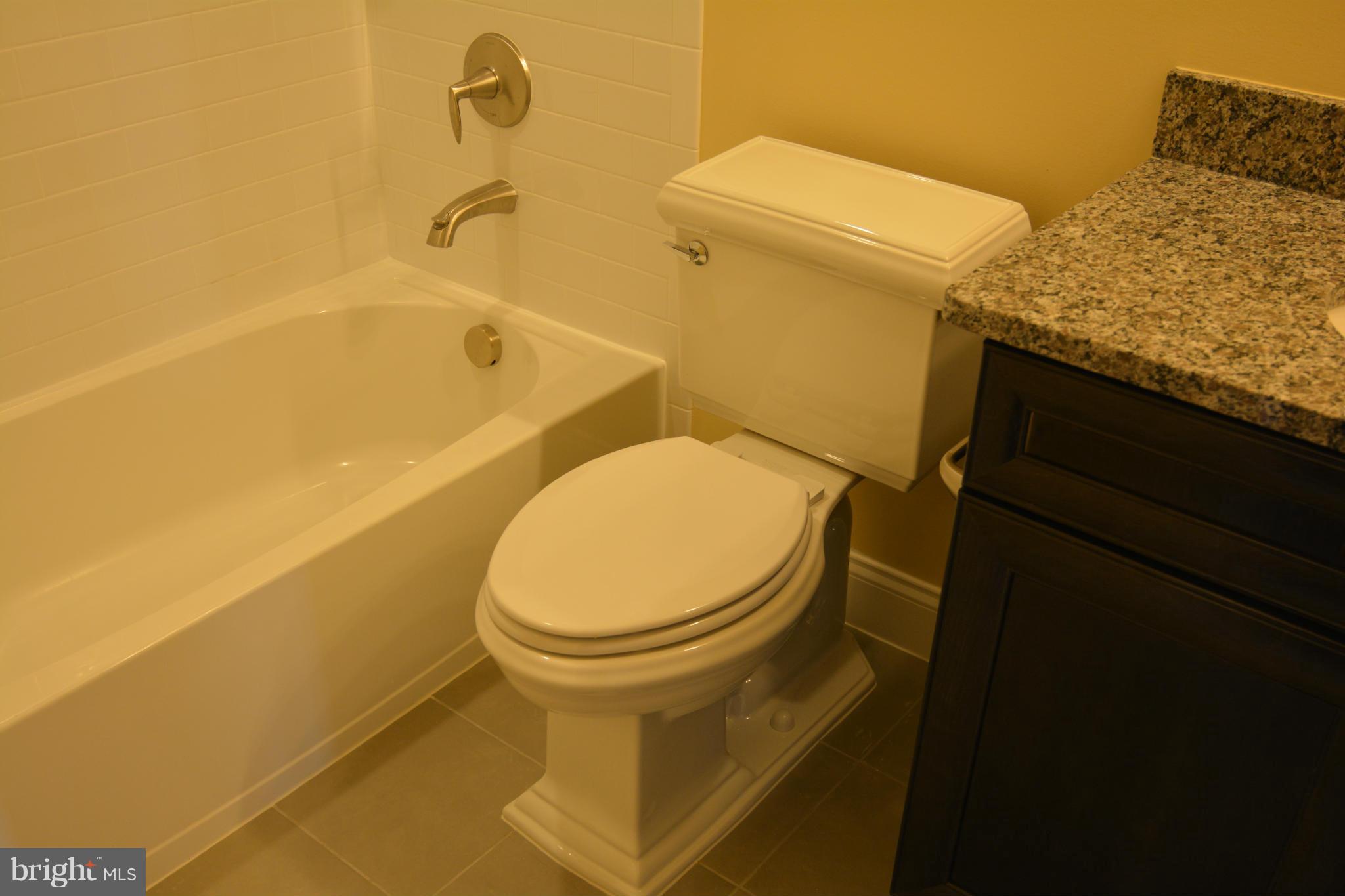 1411 Ridgeview Way Washington, DC 20007 - Photo 15 of 15 a bathroom with a granite countertop toilet and a sink