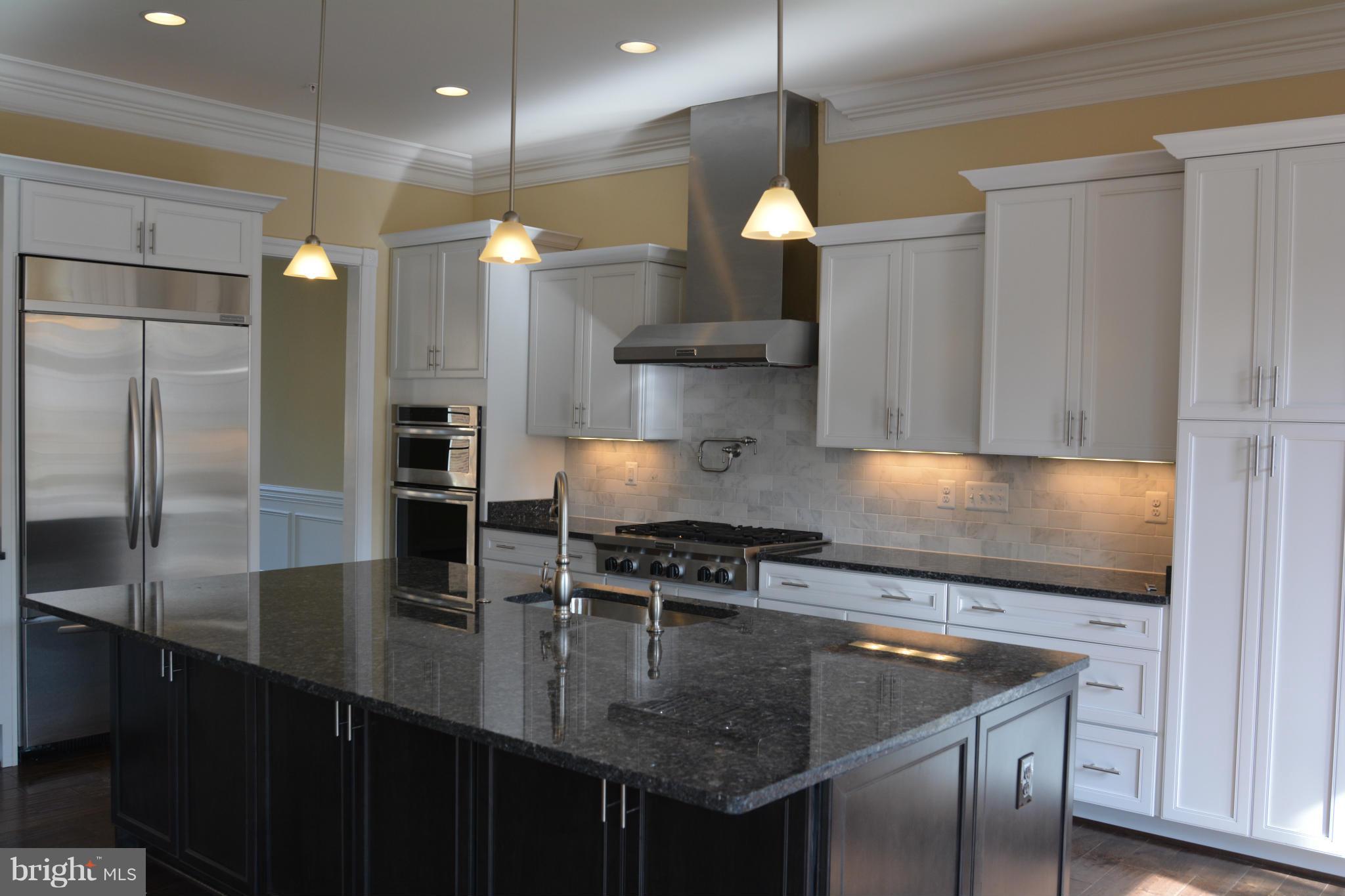 1411 Ridgeview Way Washington, DC 20007 - Photo 2 of 15 a kitchen with stainless steel appliances granite countertop a sink a stove and a refrigerator