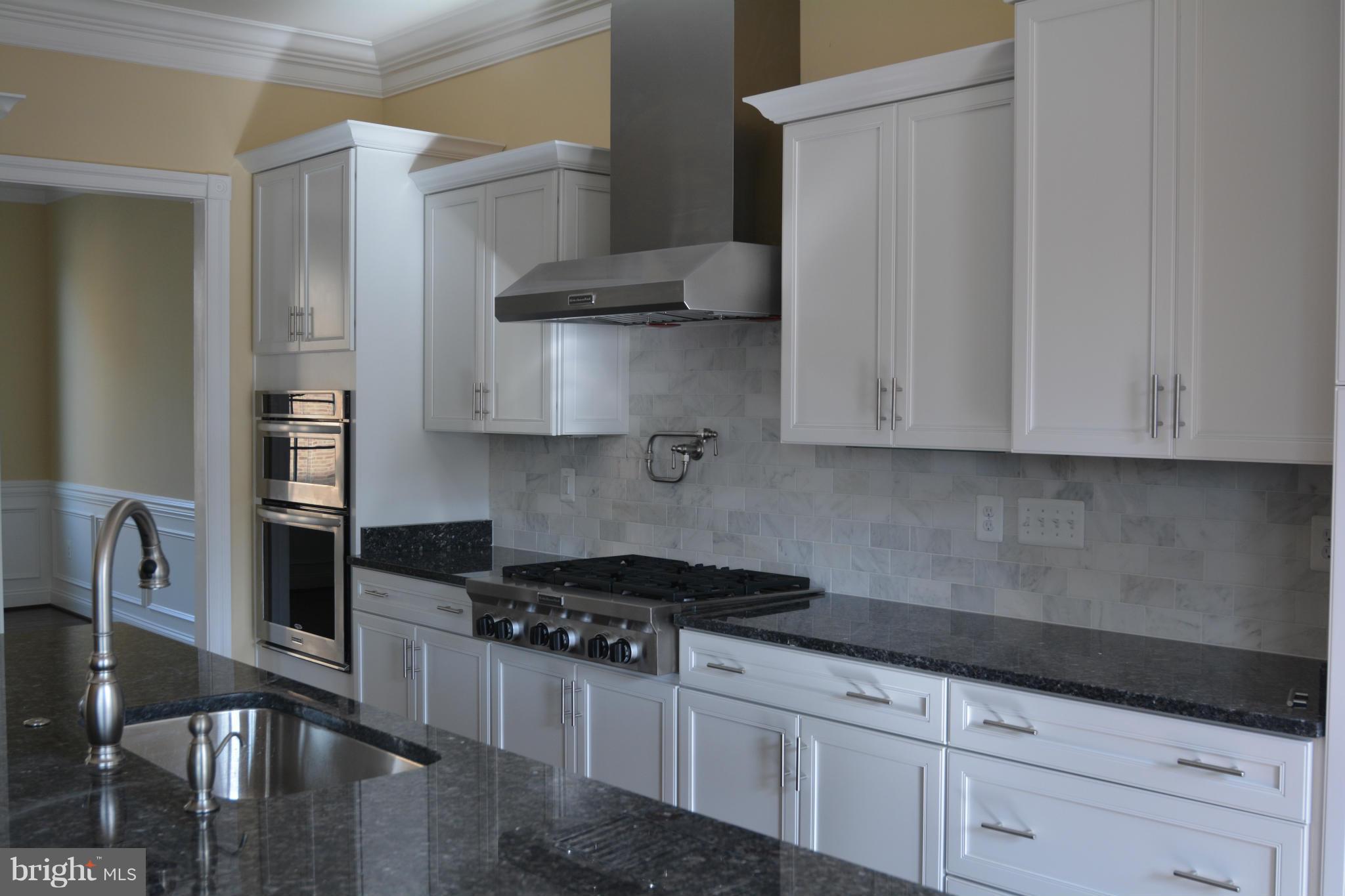 1411 Ridgeview Way Washington, DC 20007 - Photo 5 of 15 a kitchen with stainless steel appliances granite countertop a stove a sink and white cabinets