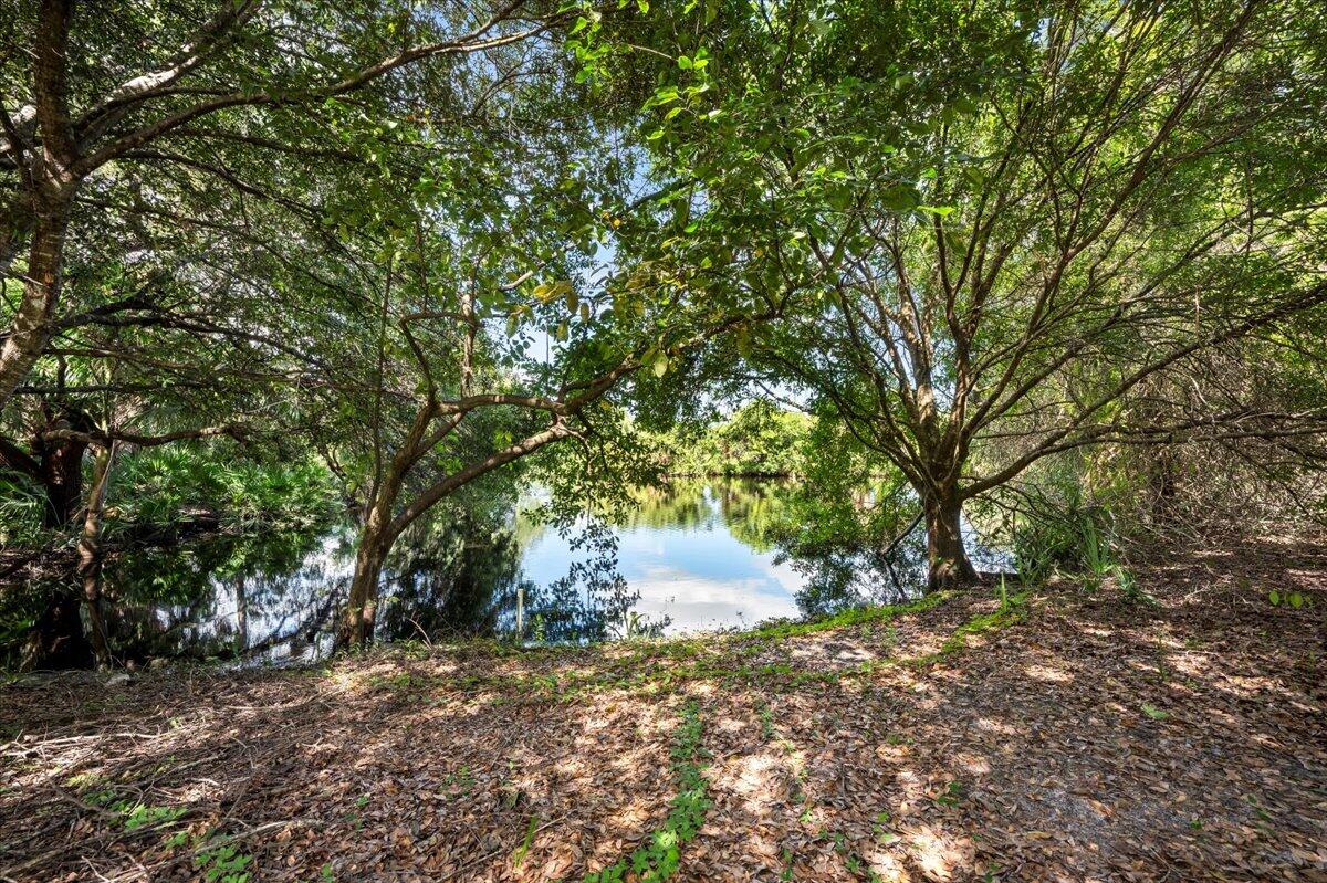 535 Southwest Glen Crest Way Stuart, FL 34997 - Photo 23 of 32 a backyard of a house with trees and outdoor space