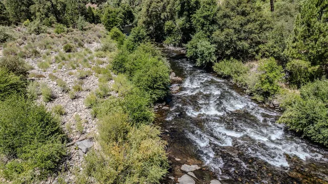 a view of a large yard with lots of trees