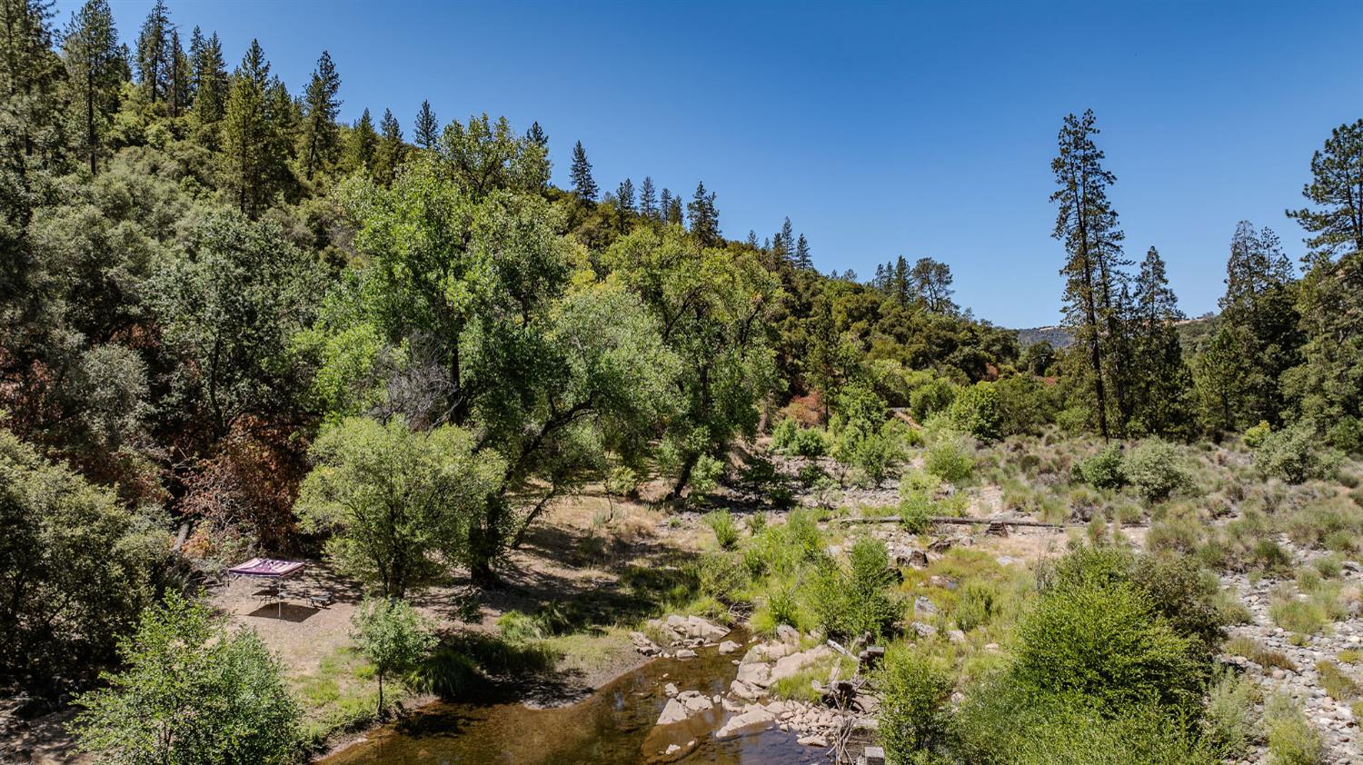 0 Electra Road Jackson, CA 95642 - Photo 20 of 51 a view of a forest with a tree