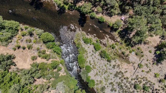 a view of flowers in a yard