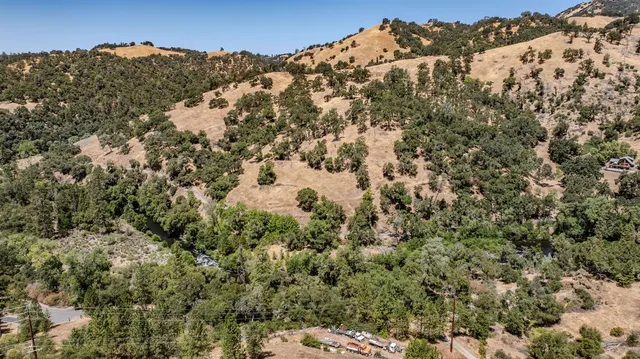a view of a garden with plants