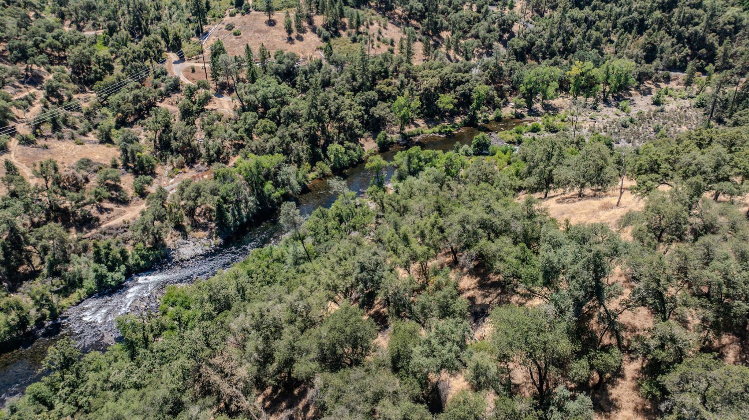 0 Electra Road Jackson, CA 95642 - Photo 32 of 51 a view of a forest with a tree