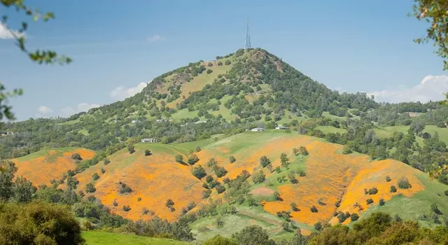 a view of a yard with an outdoor space