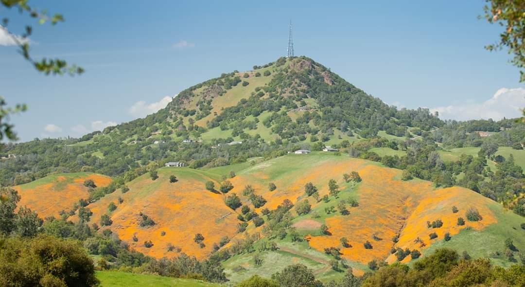 0 Electra Road Jackson, CA 95642 - Photo 36 of 51 a view of a lake