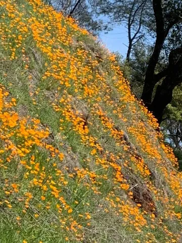 a view of an ocean and mountain