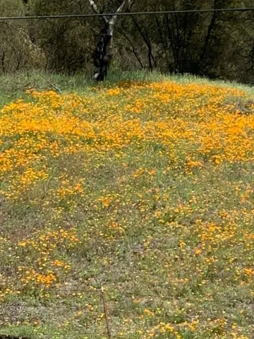 a view of a road with an ocean view