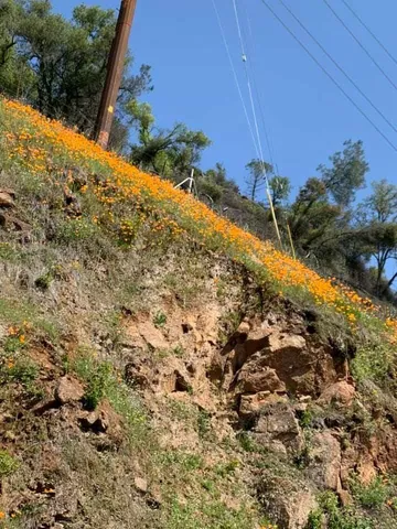 a view of an outdoor space