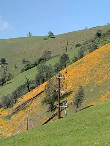 $199,000 | 0 Electra Road, Jackson, CA 95642